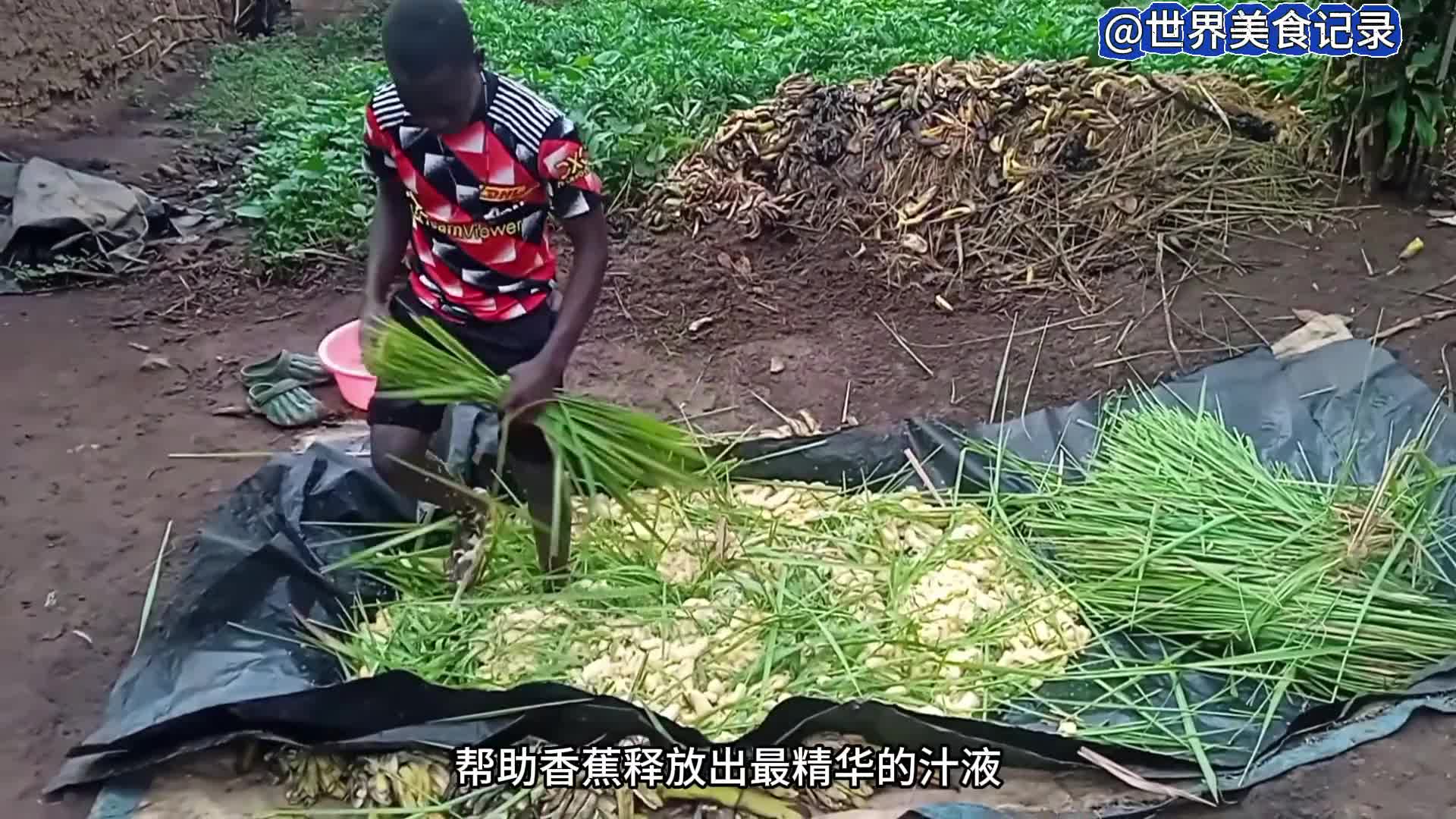 令人惊讶的的非洲香蕉汁制作过程