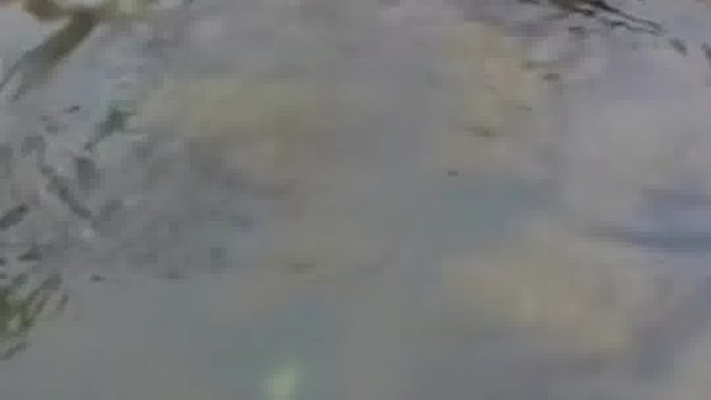 手机的救生衣