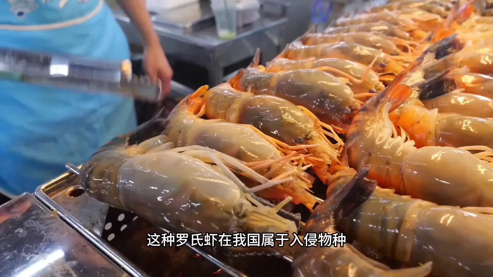罗氏虾直接用来碳烤都不知道有多美味，便宜又好吃。