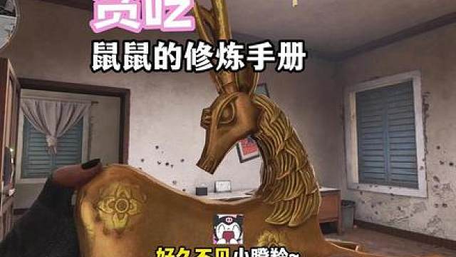 老弟你跟我比财富？今天是无变声器版白毛小鼠！