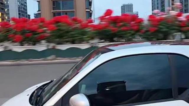 仁义这一块