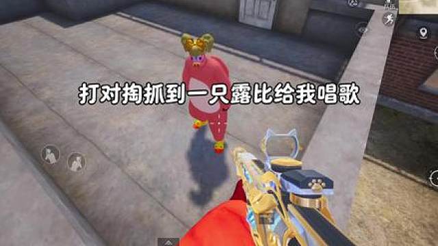 打对掏抓到一只露比给我唱歌
