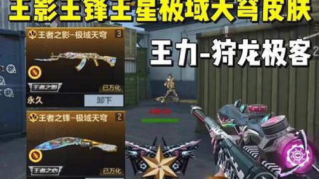 王影、王锋、王力、王星迎来全新皮肤
