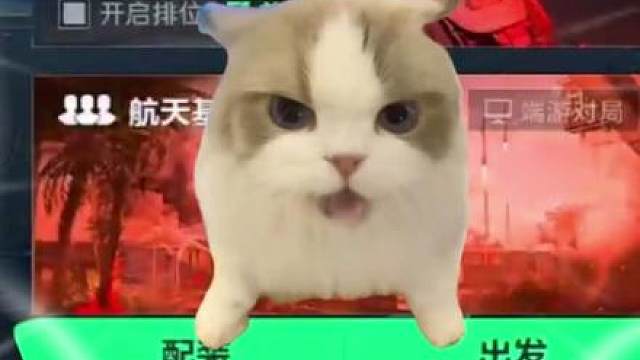 考核水友