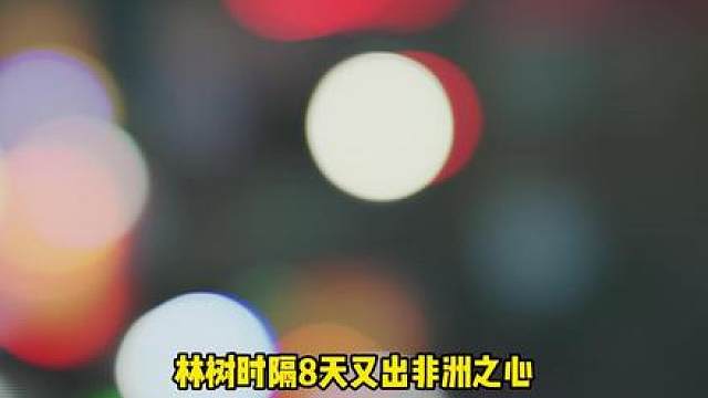 林树时隔8天又出非洲之心一局两千万肥肥撤离！