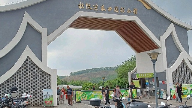 橙吱（广东江门市新会区）