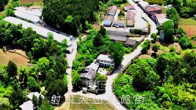 四川射洪天仙镇凤鸣街