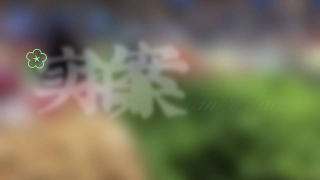 #陪老佛爷