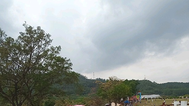 橙吱（广东江门市蓬江区）