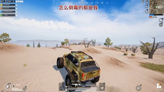 和平精英模拟器