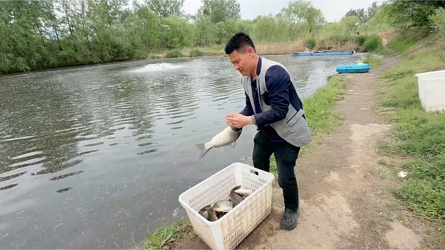 天津蓟县盘山九如居庄园农家院小三天220每人自家鱼塘免费钓鱼！