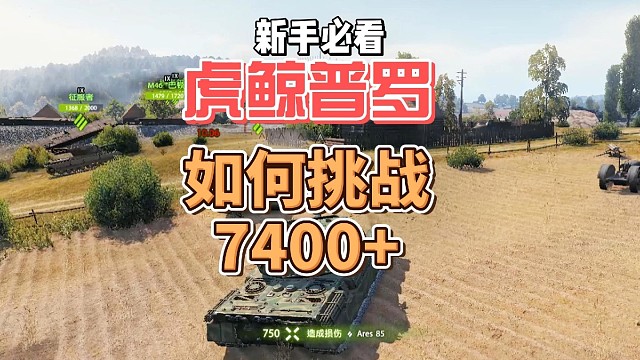 虎鲸普罗挑战7400 伤害