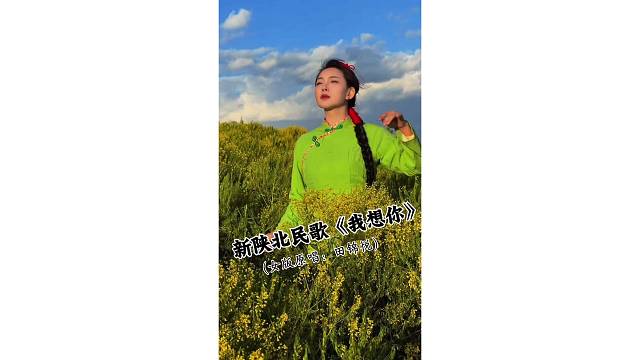 《我想你》新陕北民歌