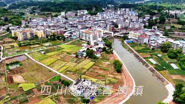四川射洪青岗镇