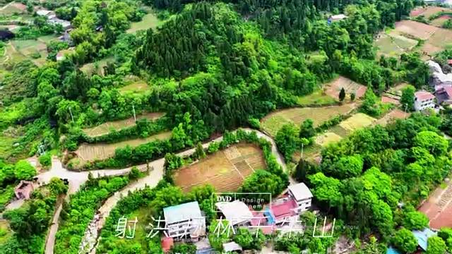 四川射洪瞿河千万林牛山