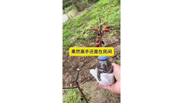 果然高手还是在民间
