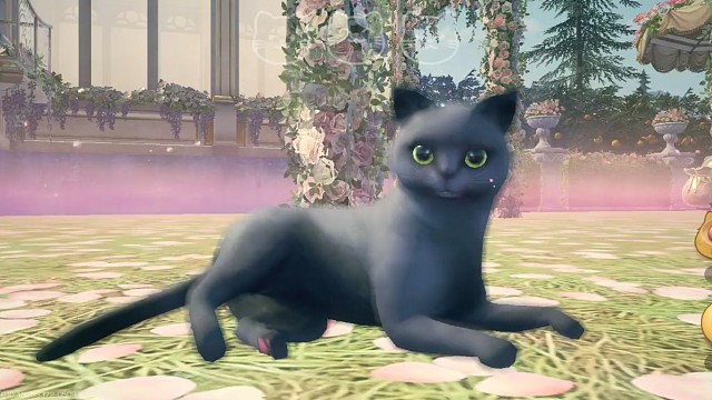 逗逗赛博猫