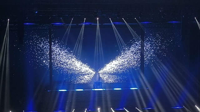 butterflies