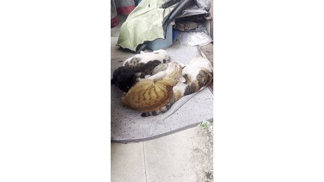 口味