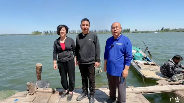 河北保定白洋淀荷缘民宿农家院每人150起包吃包住免费钓鱼水中央独栋别墅！