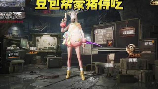 今天豪猪真的吃的饱饱的