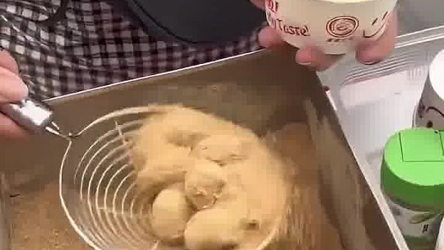 美食刺客