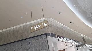 遇監(jiān)控路邊如廁無奈放棄