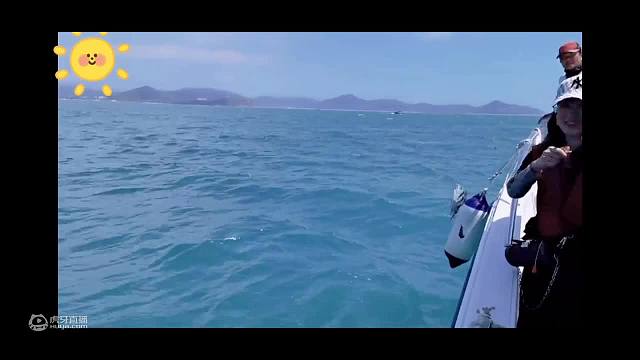 海里的鱼真的很漂亮