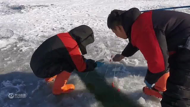 上鱼精彩，25斤七星鲈鱼！