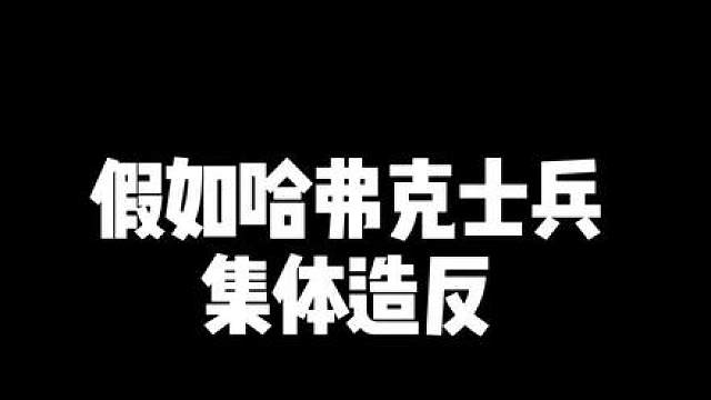 假如哈夫克士兵体造反