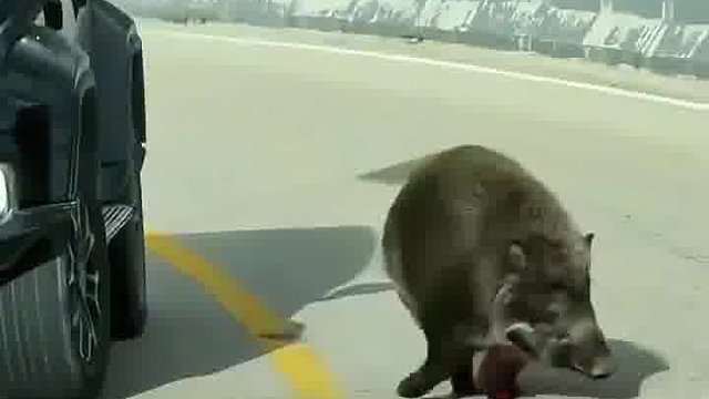 你瞅瞅你给我撞的