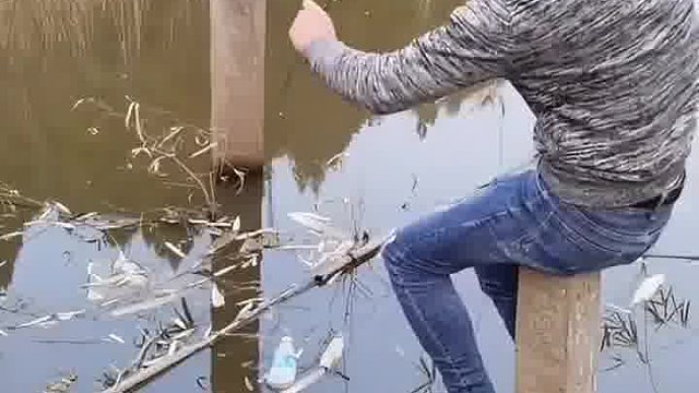 越女剑已经不练了，改练路亚了