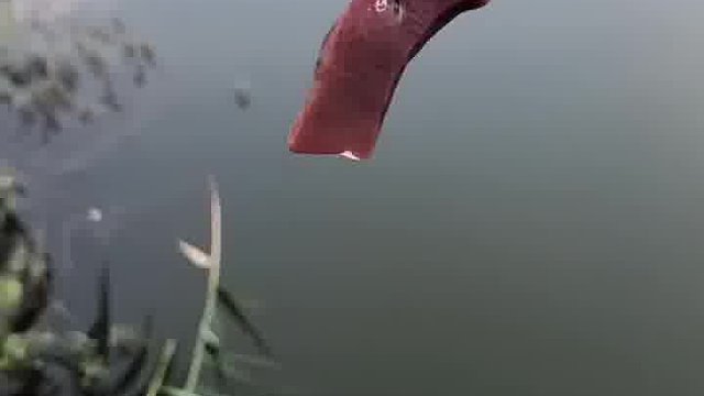 这玩意跑的真快