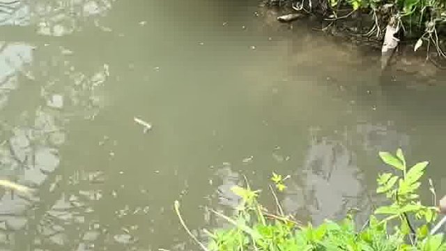 啪啪打在路亚空军佬脸上