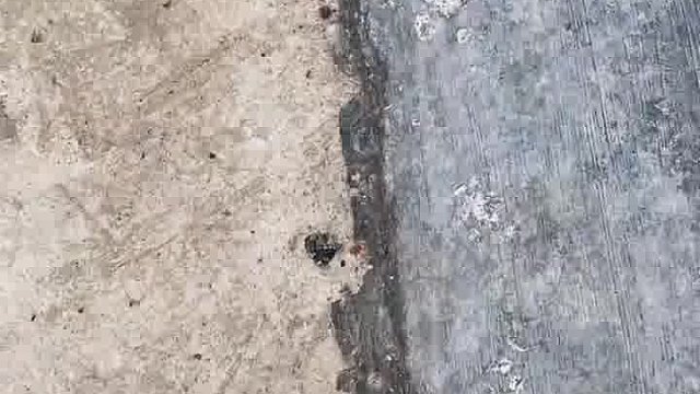 钓鱼的快乐可能只有钓鱼人才懂