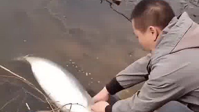 抄鱼到底从哪抄，抄散了多少亲朋好友
