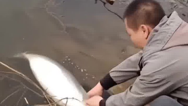 钓鱼精彩瞬间，友谊的小船说翻就翻