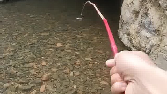 你用竹竿钓过鱼吗