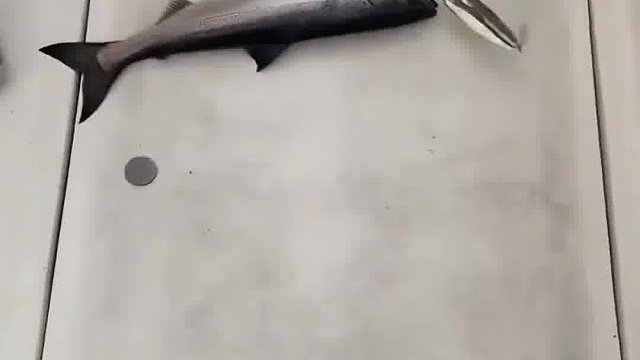 被吸上就跑不了