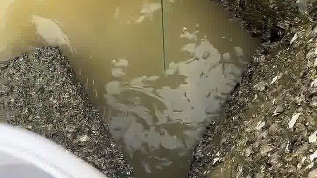 就这资源你说牛不牛
