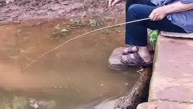 大爷钓鱼