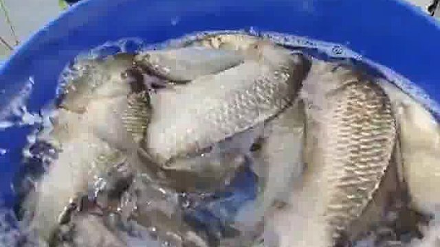 出户外钓鱼，失踪一个两个钓友是正常的嘛