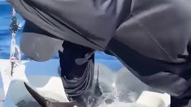 他的鱼饵比我钓的鱼还大