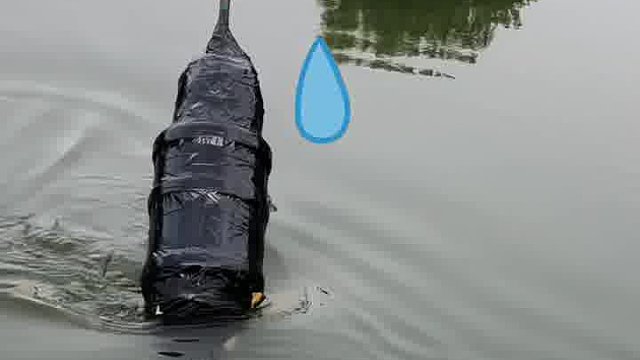 这样钓鱼真的钓得到吗