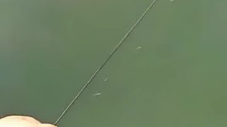 釣魚真的和桿沒有關(guān)系