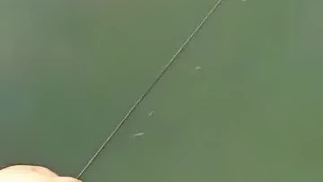 钓鱼真的和杆没有关系