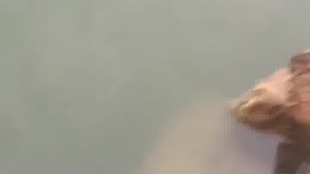 鱼_哎！是你啊！好巧又见面了