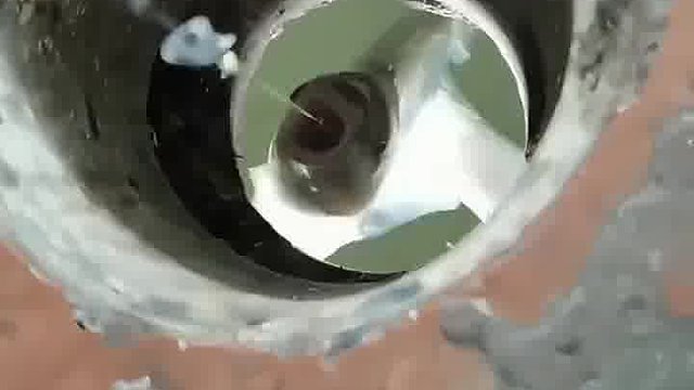 钓了一条鱼