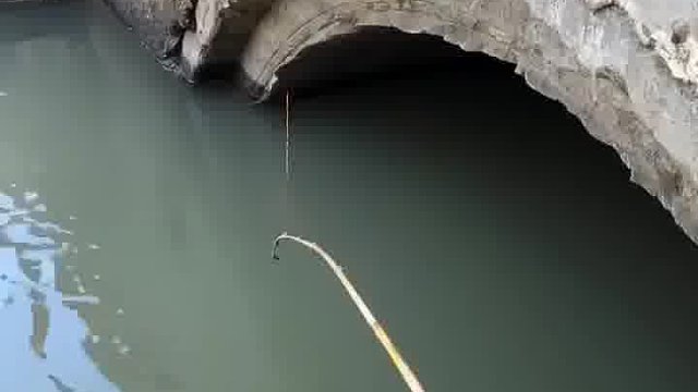 旁边开心都唱起歌来了
