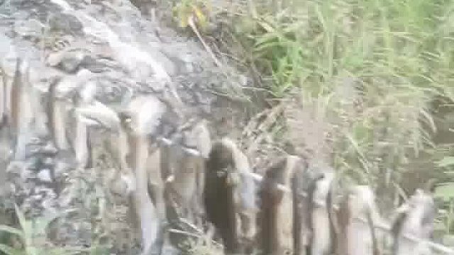 这哪是钓鱼啊，这是抄家！